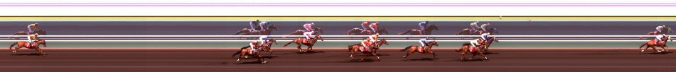 Mitty's Trobis Maiden Plate