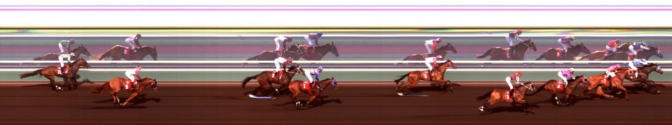 Tom Wilson Memorial Handicap