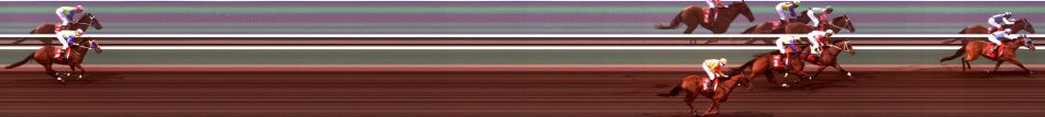 Sitzler Class 2 Handicap