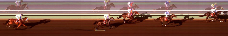 Ladbrokes Benchmark 76 Handicap