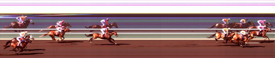 Darwin Waterfront Maiden Plate