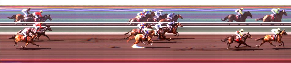 Marsh TROBIS Maiden Plate