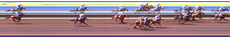 Ubet ROANT Maiden Plate
