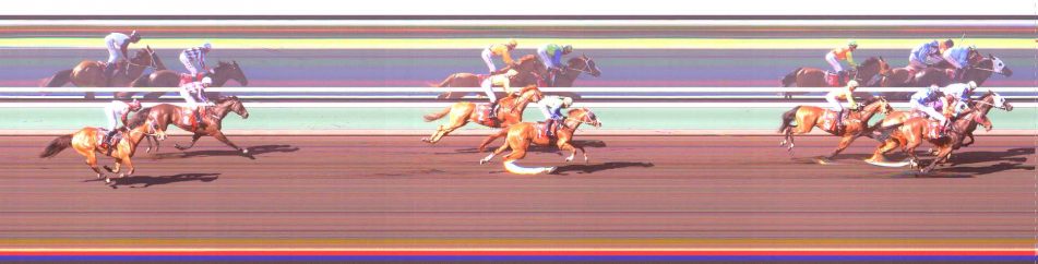 Betfair Exchange TROBIS Maiden Plate