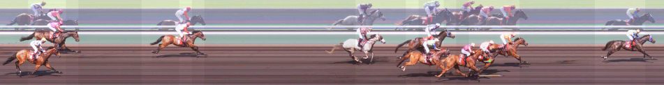 50 Shades of Pink Handicap