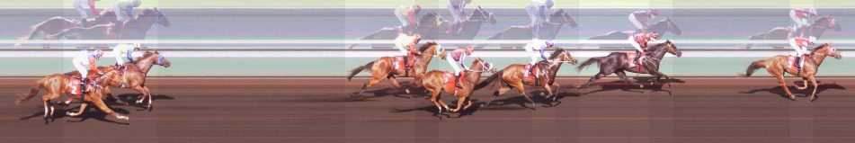 Darwin Corporate Park Handicap