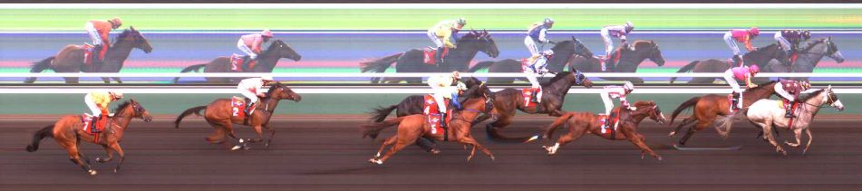 Electric Supply Solutions Handicap