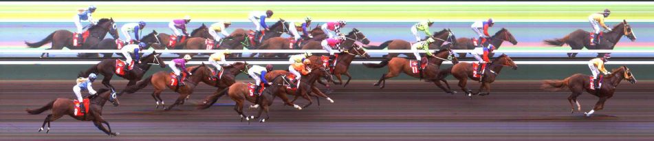 10 Darwin Handicap