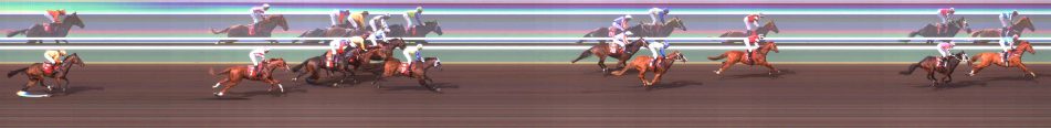 Four Leaf Clover 3Y & Maiden Plate