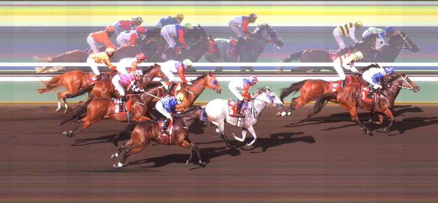 The Galway Girl Handicap