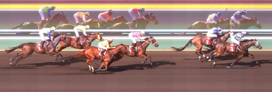 Allora Gardens Nursery Handicap