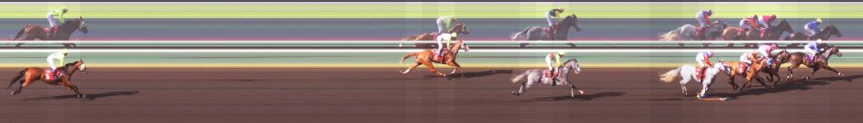 QBE Handicap