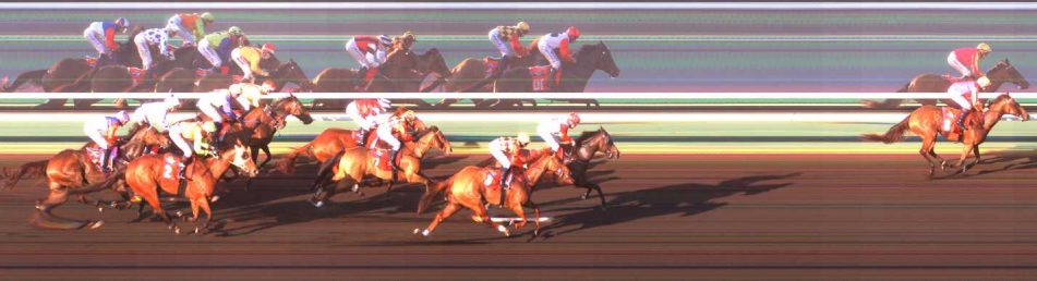 Arafura Line Markers Handicap
