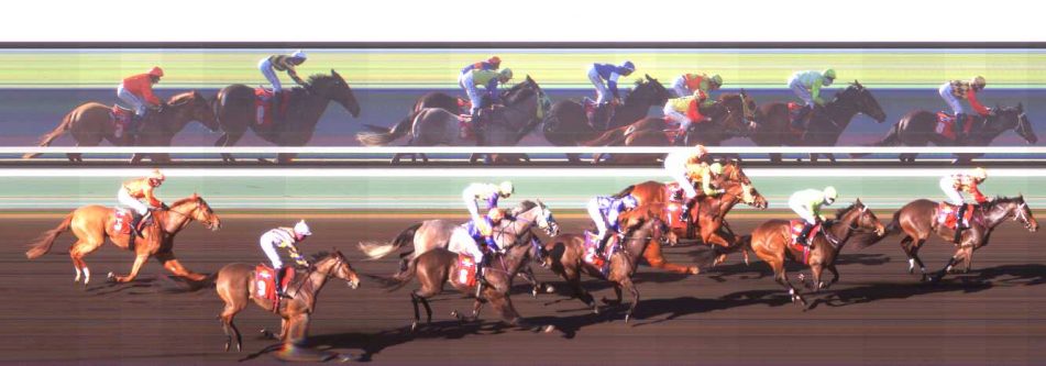 Holdfast Insurance Brokers TROBIS Maiden
