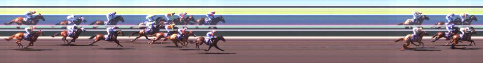 Elsey on Parap Maiden Plate