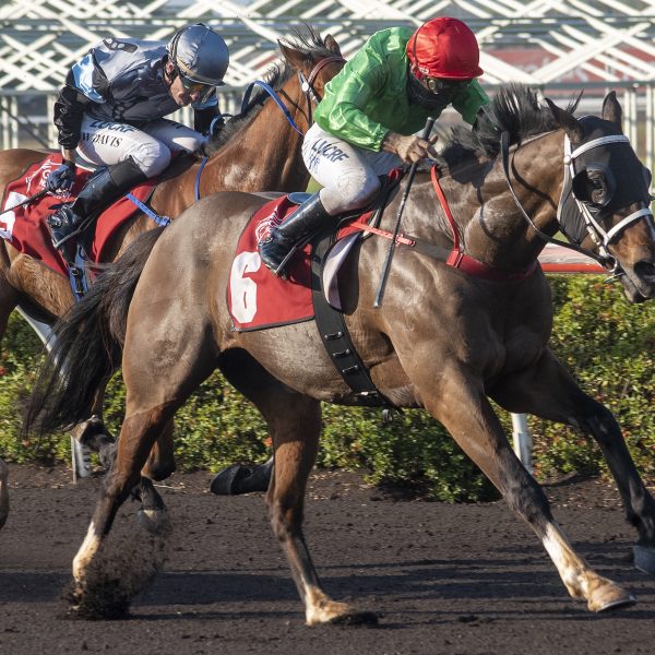 Day 6 – Darwin Corporate Park Race Day