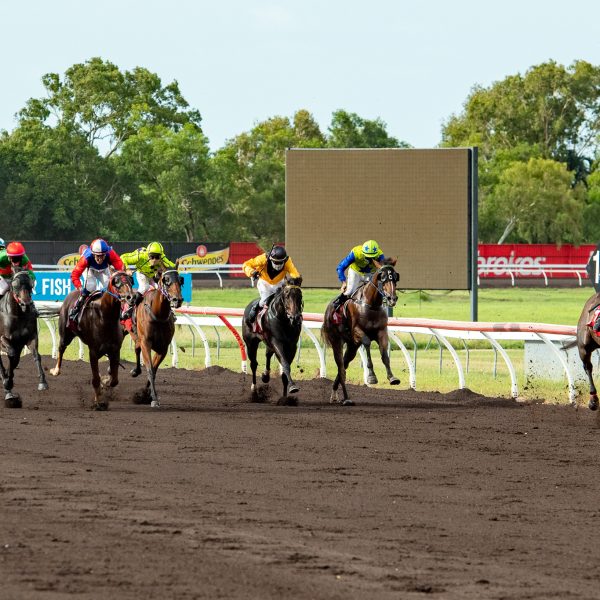 Queen’s Birthday Races