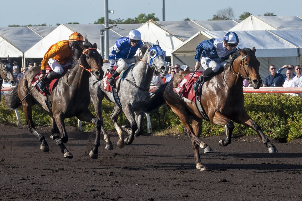 Saturday Racing » Darwin Turf Club