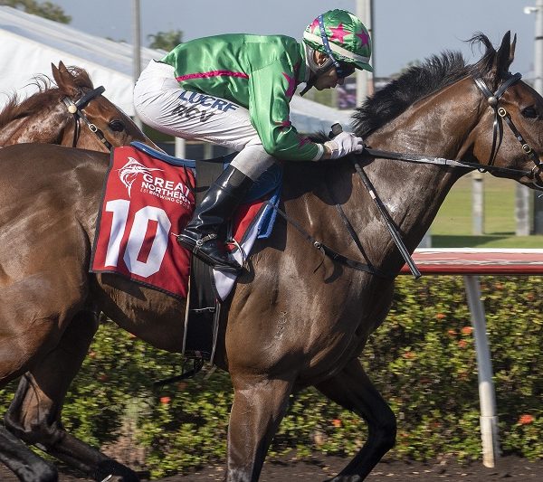 Day 5 – Metric Mile