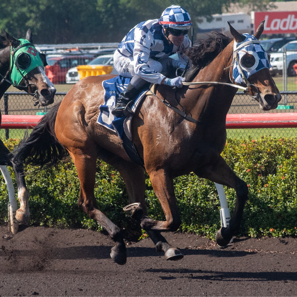 SATURDAY RACING – 21 JUNE