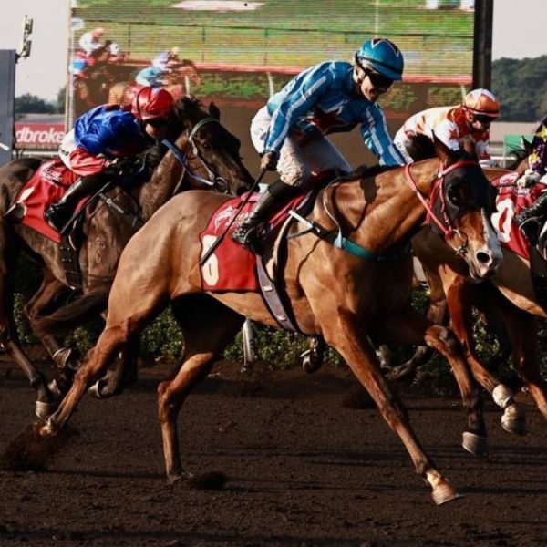 SATURDAY RACING – 24 OCTOBER