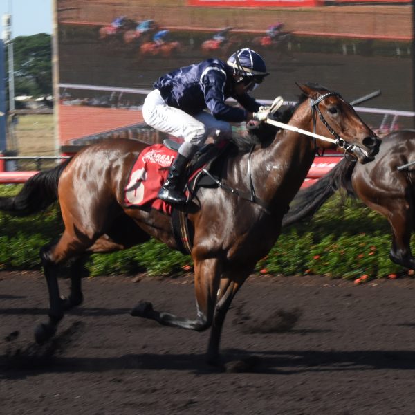 BAXTER QUARTET CONTINUES DREAM RUN