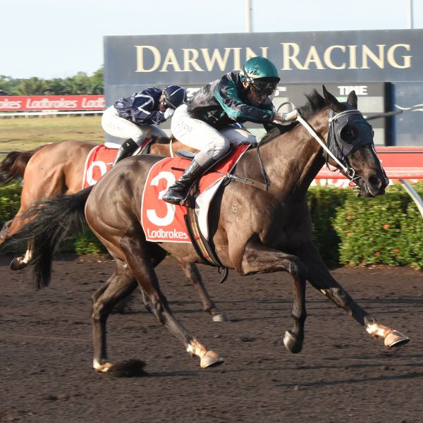 Saturday Racing – 23 August