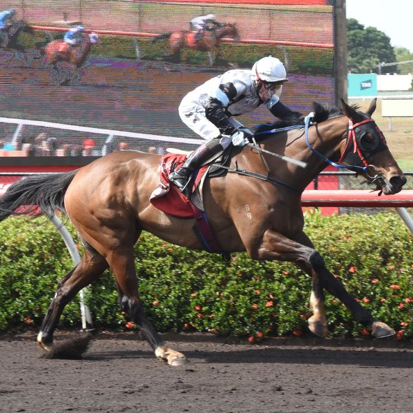 Saturday Racing – 6 September