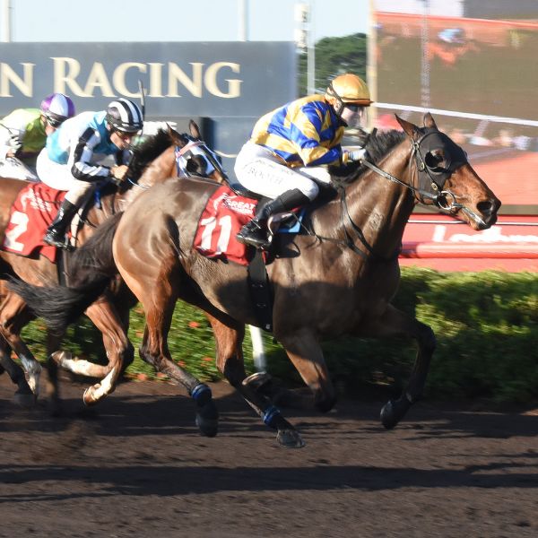 Friday Racing – 26 September