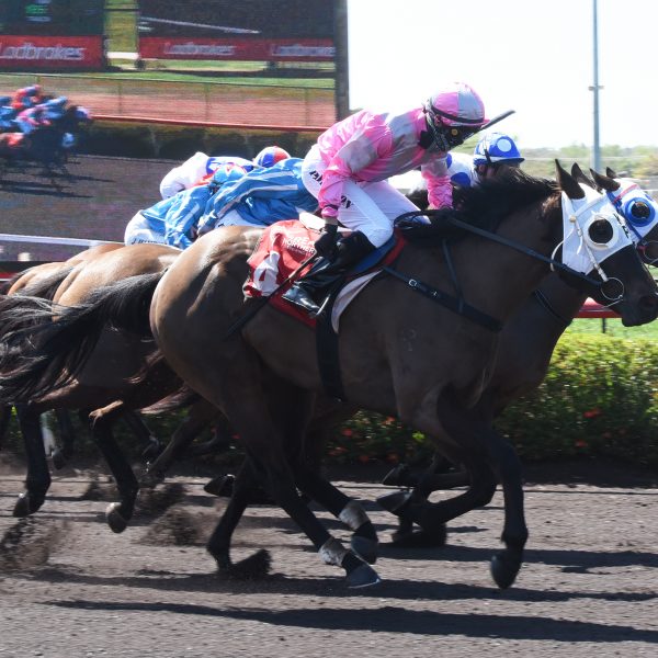 PETRICK HITS STRIDE AFTER SLOW START