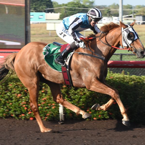 WOLFBURN BACK TO BEST