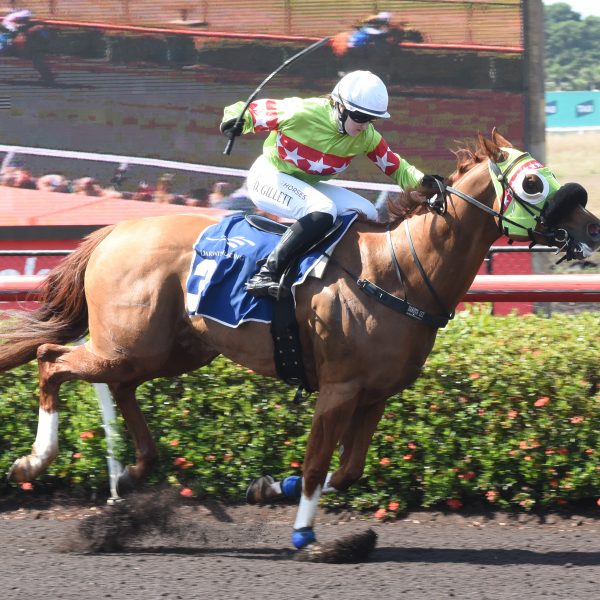 CLASSY ZOURATA HOLDS ON