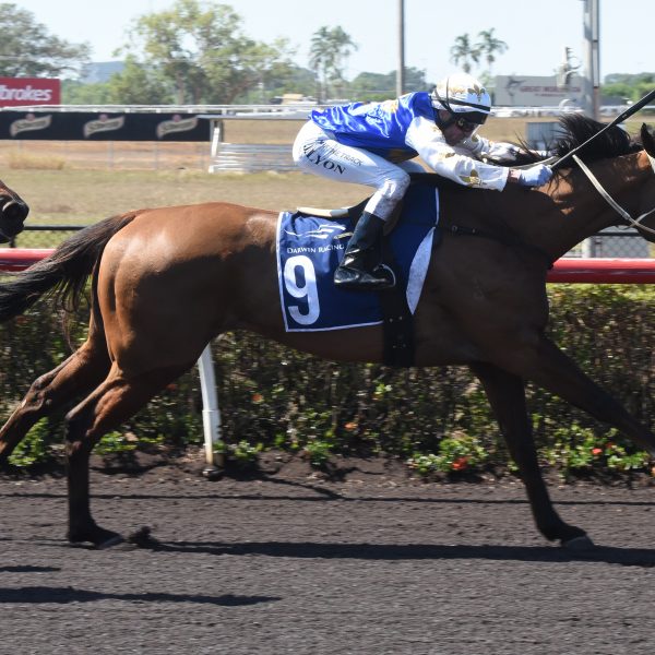SATURDAY RACING – 12 DECEMBER