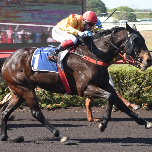 SATURDAY RACING – 28 NOVEMBER