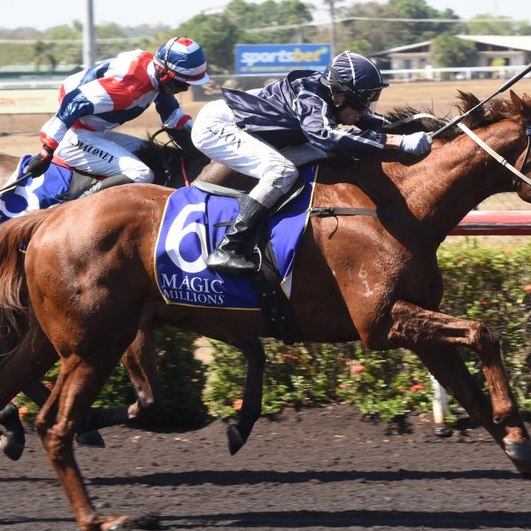 SATURDAY RACING – 14 NOVEMBER