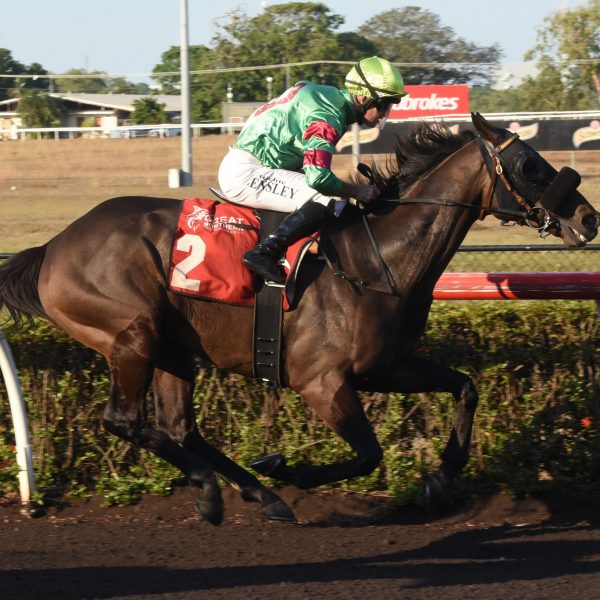 REMATCH HAS THE FINAL SAY IN RYDGES PALMERSTON CUP