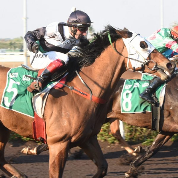 VENTING EARNS TILT AT THE CUP