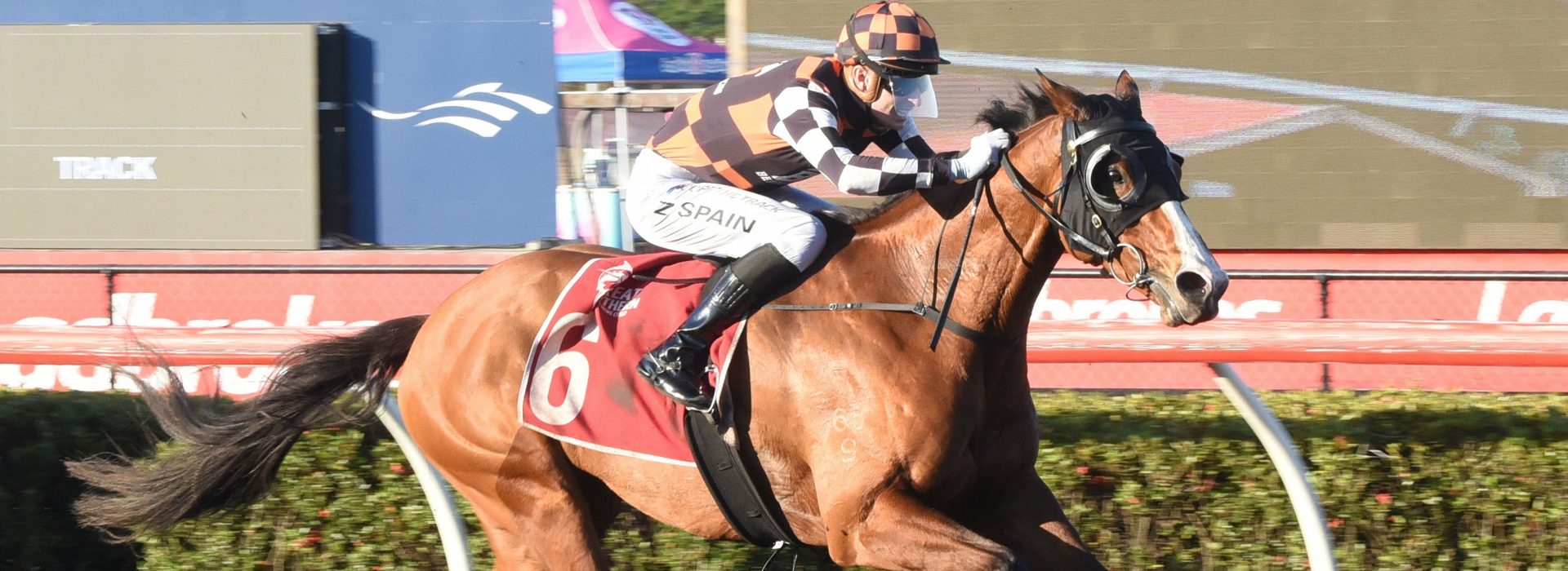 Guineas (4)