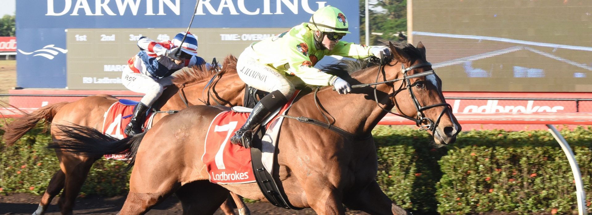 Guineas (6)