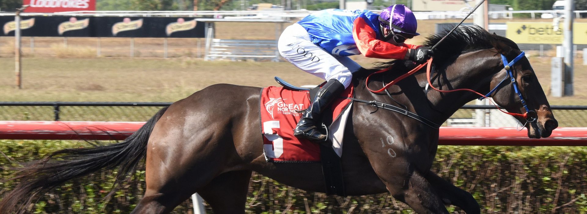 Guineas (9)