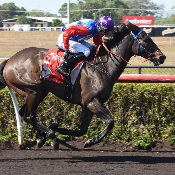 SPEEDY WILD BEAU RUNS RIVALS RAGGED